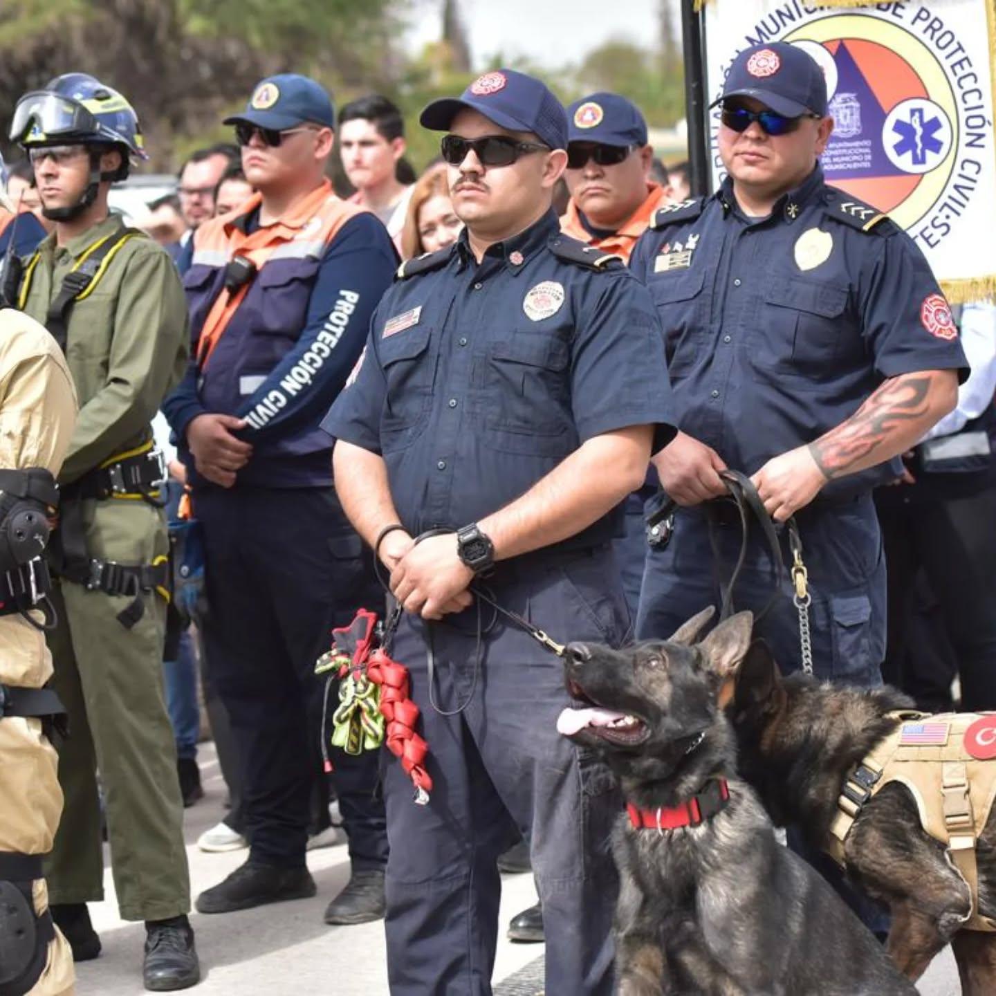 Entrenador con perro